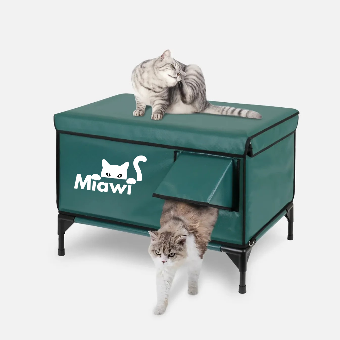 Miawi® : L'abri qui chauffe et protège votre chat.